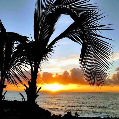 Seaview Paradise Palms&Zen Garden Apt Pahoa Kültér fotó