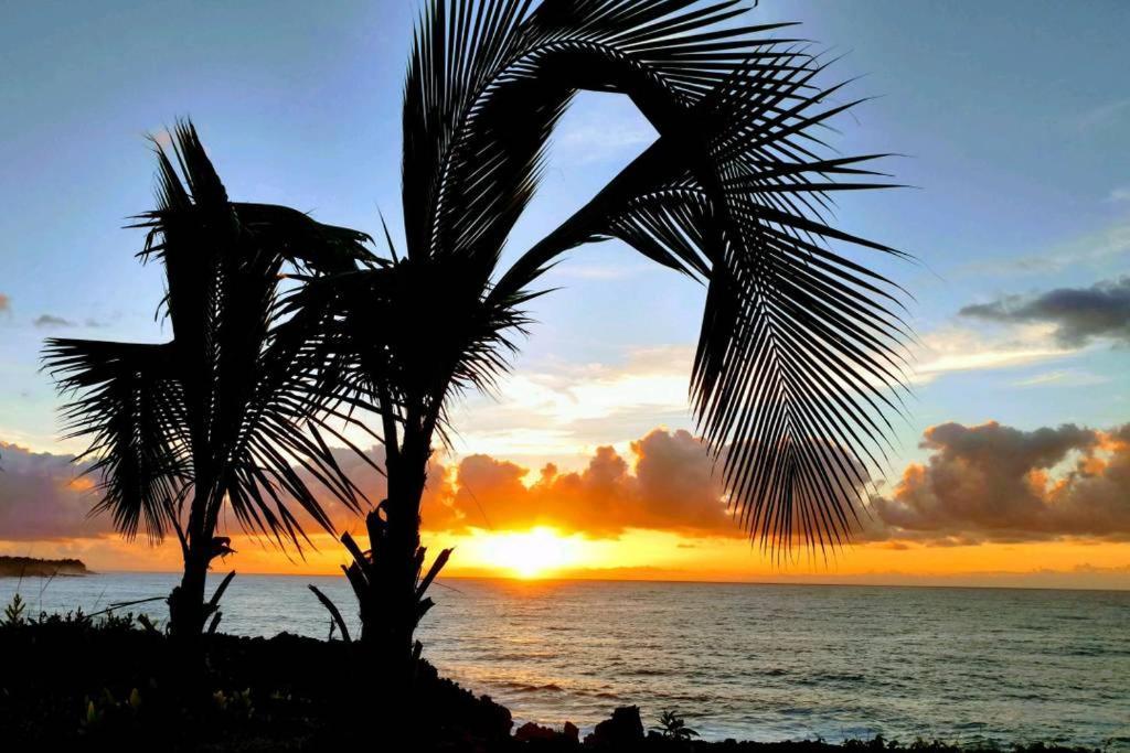 Seaview Paradise Palms&Zen Garden Apt Pahoa Kültér fotó