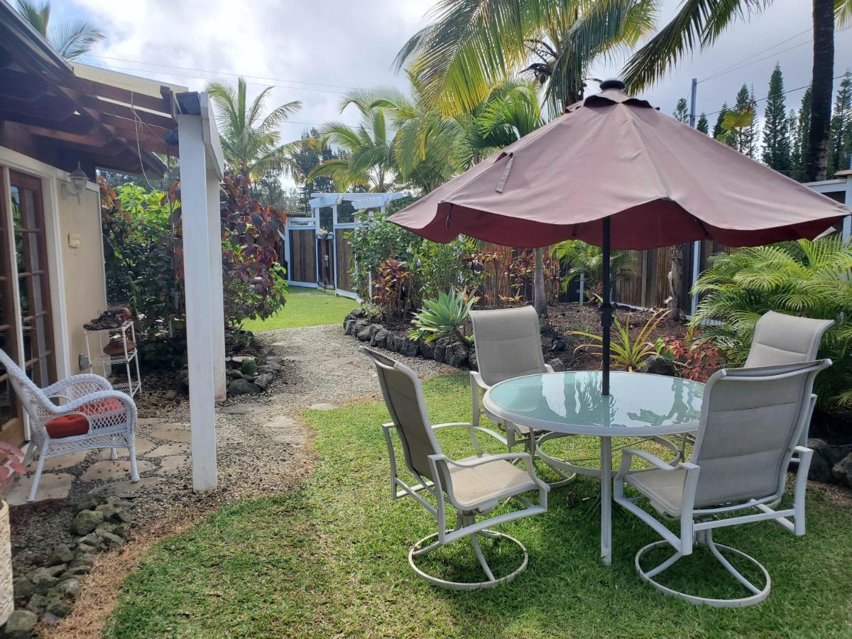 Seaview Paradise Palms&Zen Garden Apt Pahoa Kültér fotó