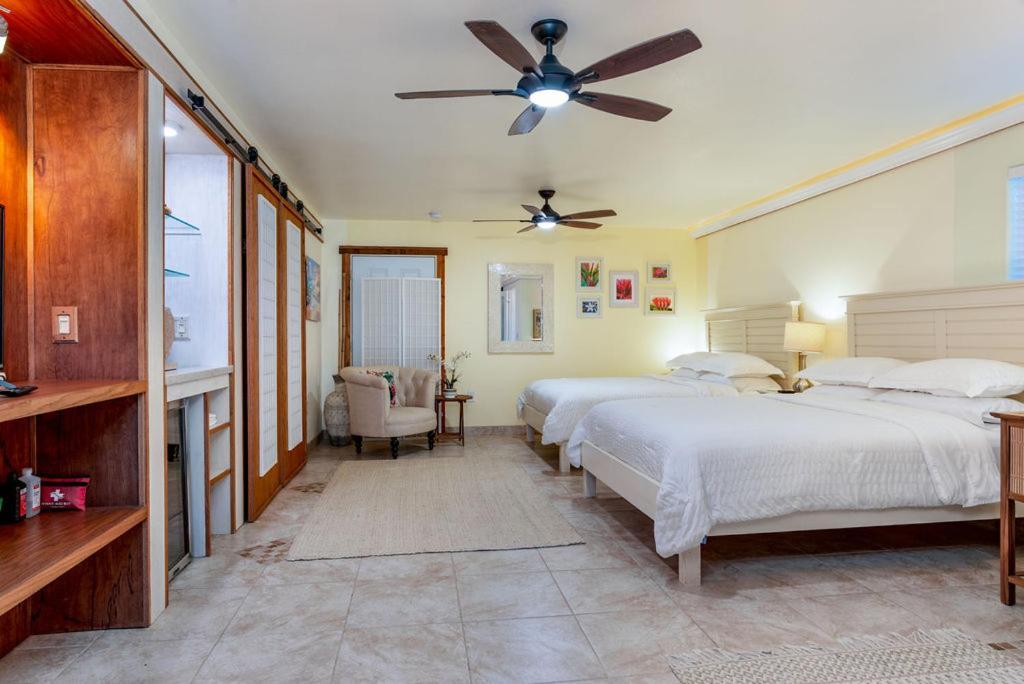 Seaview Paradise Palms&Zen Garden Apt Pahoa Kültér fotó