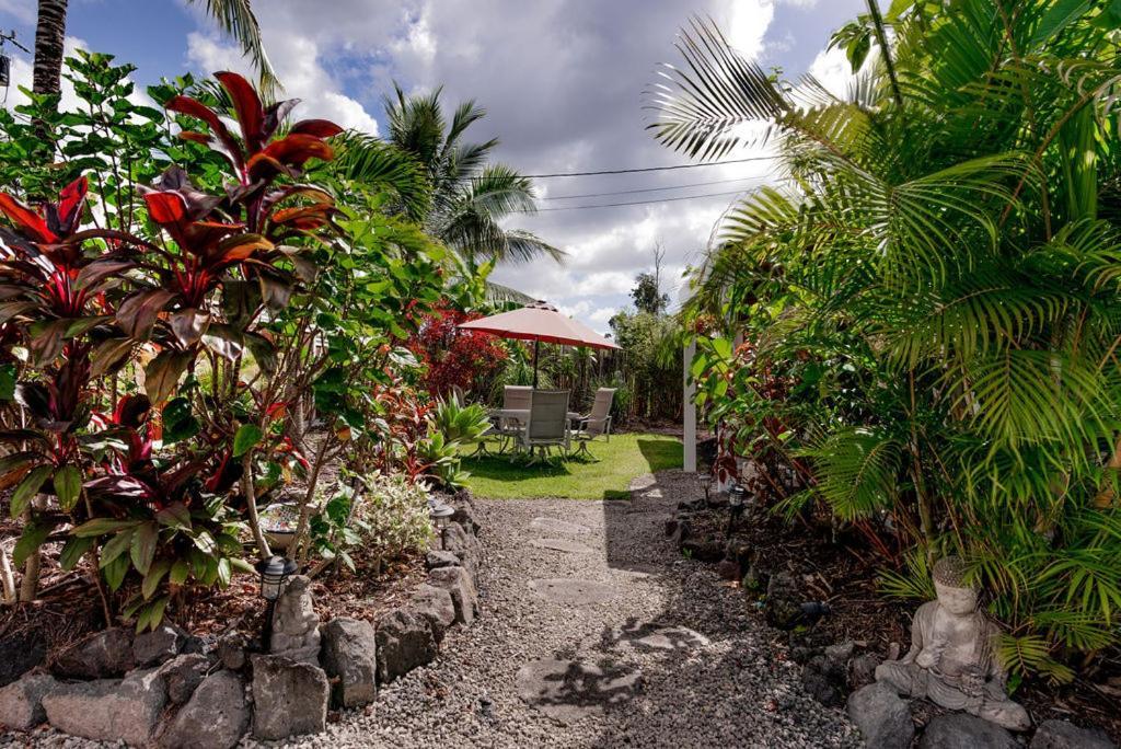 Seaview Paradise Palms&Zen Garden Apt Pahoa Kültér fotó